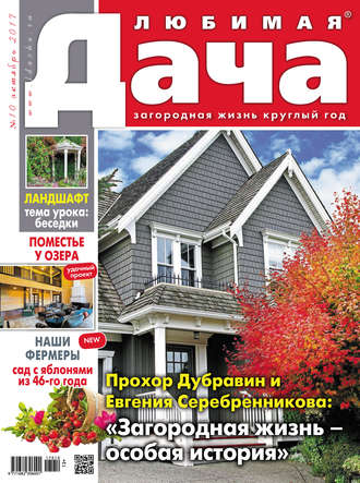 Обложка книги «Любимая дача №10/2017»