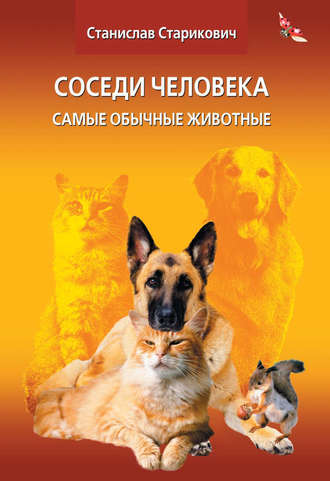 Обложка книги «Соседи человека. Самые обычные животные»