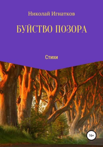 Обложка книги «Буйство позора»
