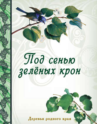 Обложка книги «Под сенью зеленых крон. Деревья родного края»