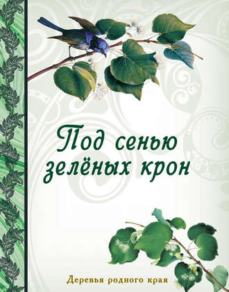 Группа авторов. Под сенью зеленых крон. Деревья родного края