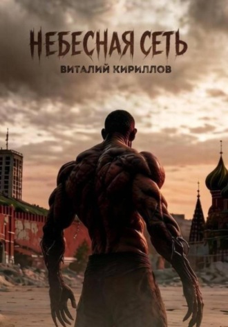 Обложка книги «Небесная сеть»
