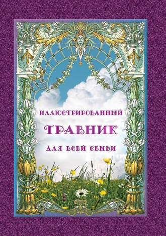 Группа авторов. Иллюстрированный травник для всей семьи