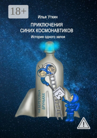 Обложка книги «Приключения Синих Космонавтиков. История одного запоя»