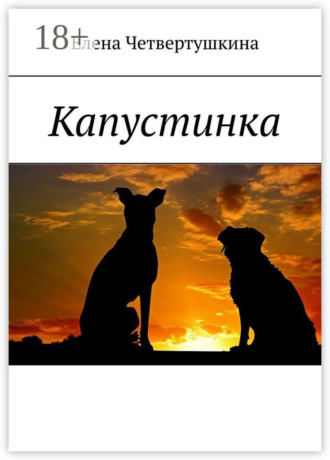 Обложка книги «Капустинка»