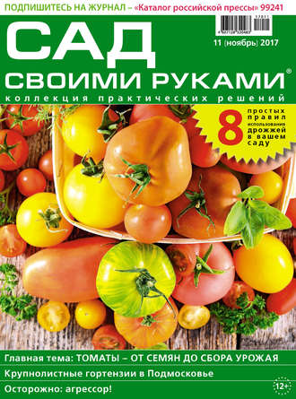 Обложка книги «Сад своими руками №11/2017»