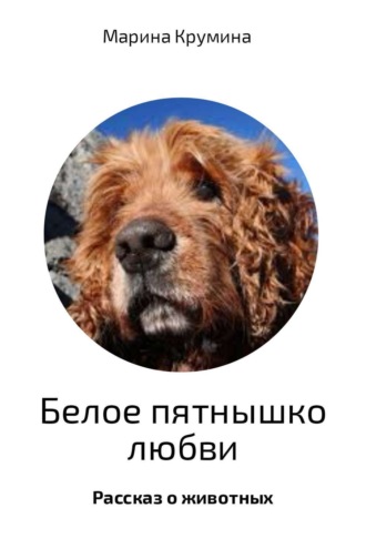 Обложка книги «Белое пятнышко любви»