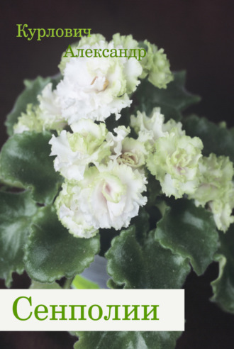 Александр Курлович. Сенполии