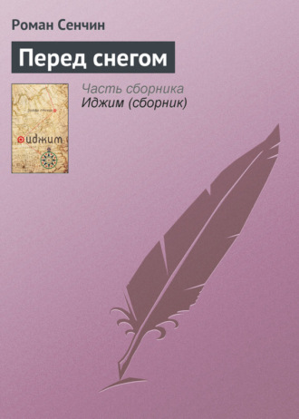 Обложка книги «Перед снегом»