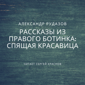 Обложка книги «Спящая красавица»