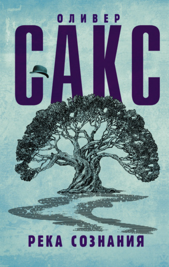Обложка книги «Река сознания (сборник)»