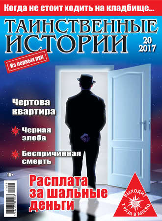 Обложка книги «Таинственные истории №20/2017»