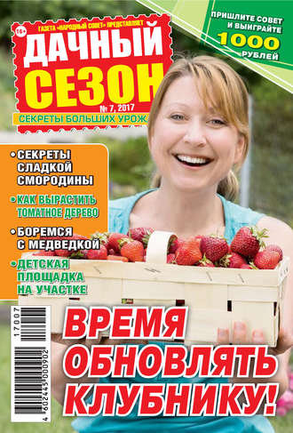 Обложка книги «Дачный сезон №07/2017»