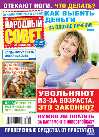 Обложка книги «Народный совет №38/2017»