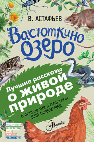 Виктор Астафьев. Васюткино озеро. Рассказы с вопросами и ответами для почемучек