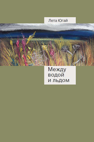Обложка книги «Между водой и льдом»