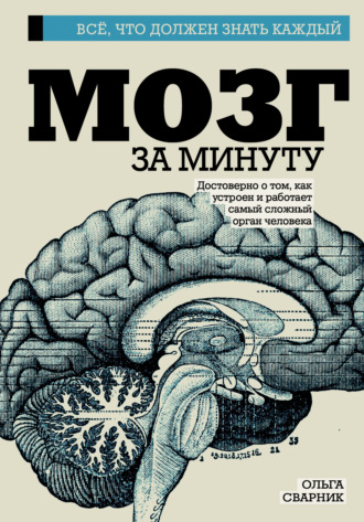 Обложка книги «Мозг за минуту»