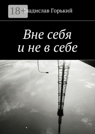 Обложка книги «Вне себя и не в себе»