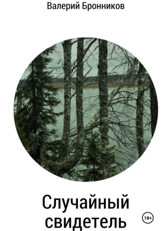 Обложка книги «Случайный свидетель»