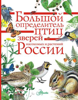 Обложка книги «Большой определитель птиц, зверей, насекомых и растений России»
