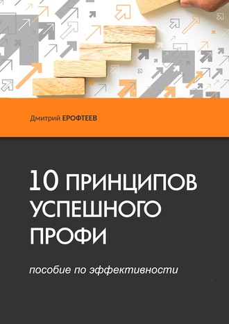 Дмитрий Ерофтеев. 10 принципов успешного профи. Пособие по эффективности