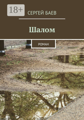 Обложка книги «Шалом. Роман»