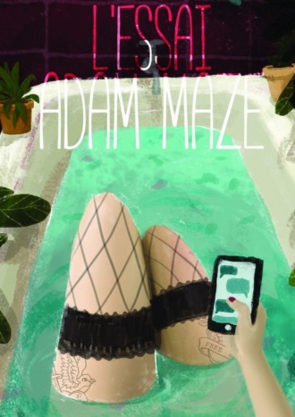 Adam Maze. l'essai