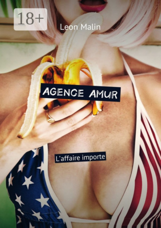 Обложка книги «Agence Amur. L’affaire importe»