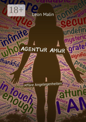 Обложка книги «Agentur Amur. Affäre Angelegenheiten»