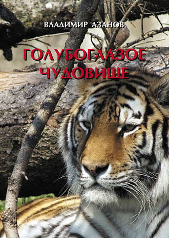 Обложка книги «Голубоглазое чудовище»