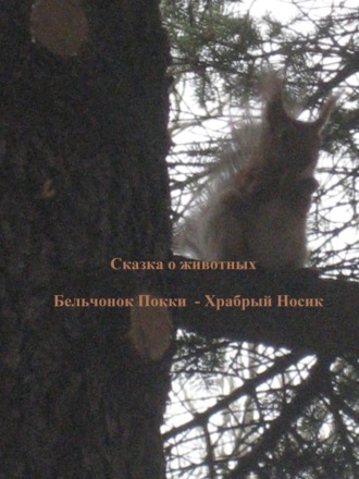 Обложка книги «Бельчонок Покки. Храбрый носик»