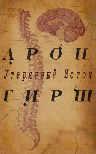 Обложка книги «Арон Гирш. Утерянный исток»