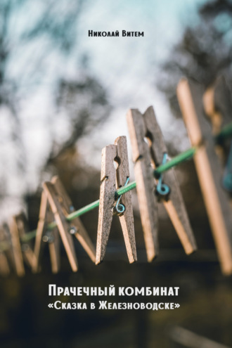 Обложка книги «Прачечный комбинат «Сказка в Железноводске»»