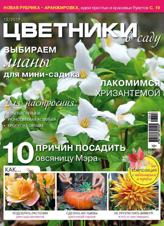 Обложка книги «Цветники в саду №12/2017»