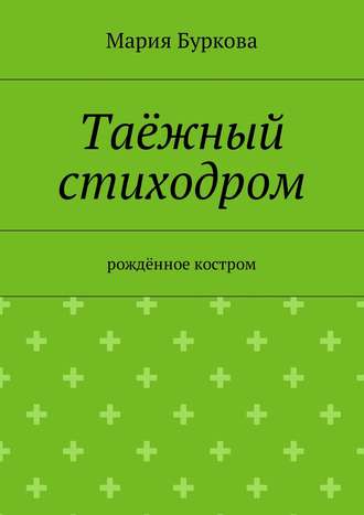 Обложка книги «Таёжный стиходром. Рождённое костром»