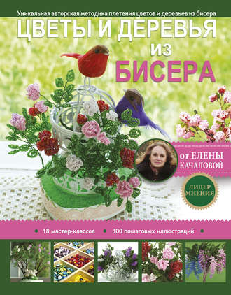 Обложка книги «Цветы и деревья из бисера»