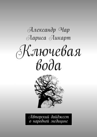 Обложка книги «Ключевая вода. Авторский дайджест о народной медицине»