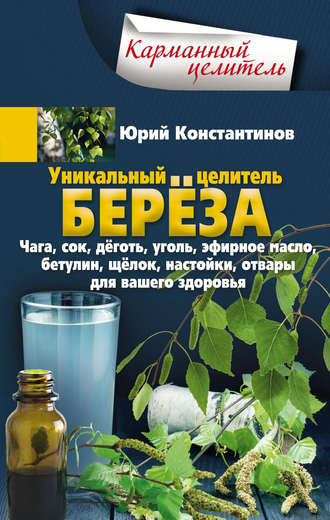 Обложка книги «Уникальный целитель берёза. Чага, сок, дёготь, уголь, эфирное масло, бетулин, щёлок, настойки, отвары для вашего здоровья»
