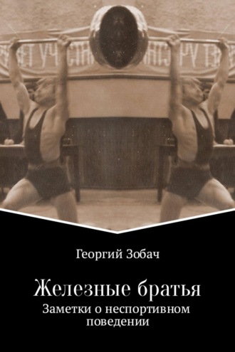 Обложка книги «Железные братья»