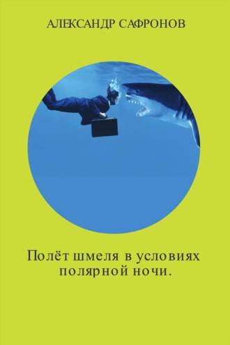 Александр Игоревич Сафронов. Полёт шмеля в условиях полярной ночи. Сборник рассказов