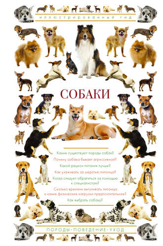 Обложка книги «Собаки. Иллюстрированный гид»