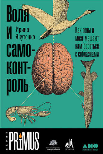 Ирина Якутенко. Воля и самоконтроль: Как гены и мозг мешают нам бороться с соблазнами