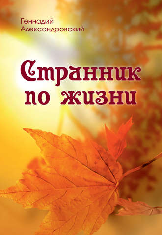 Обложка книги «Странник по жизни (сборник)»