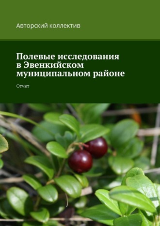 Н. П. Копцева. Полевые исследования в Эвенкийском муниципальном районе. Отчет