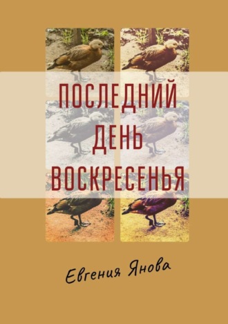 Евгения Янова. Последний день воскресенья