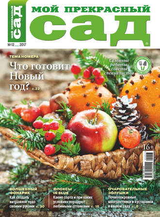 Обложка книги «Мой прекрасный сад №12/2017»