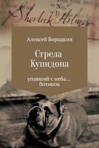 Обложка книги «Стрела Купидона»