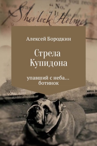 Алексей Петрович Бородкин. Стрела Купидона