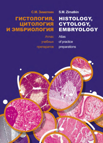 Обложка книги «Гистология, цитология и эмбриология. Атлас учебных препаратов / Histology, Cytology, Embriology. Atlas of practice preparations»