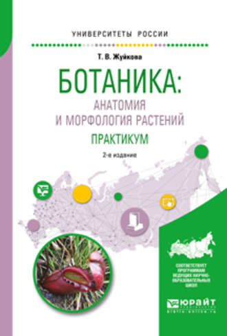 Татьяна Валерьевна Жуйкова. Ботаника: анатомия и морфология растений. Практикум 2-е изд., пер. и доп. Учебное пособие для вузов